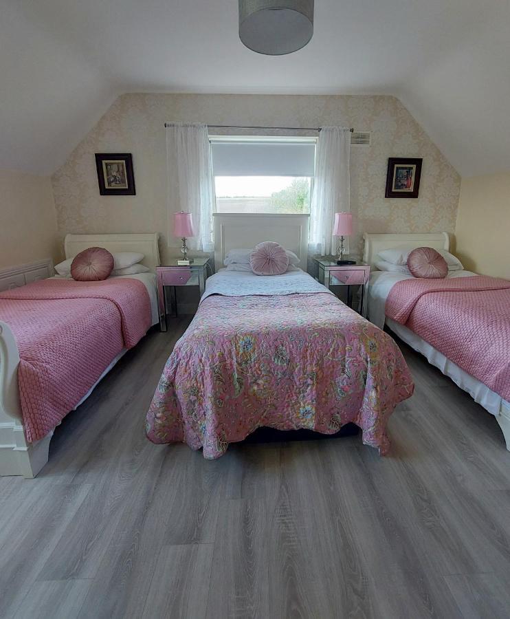 Graiguenamanagh Brandon View House B&B מראה חיצוני תמונה