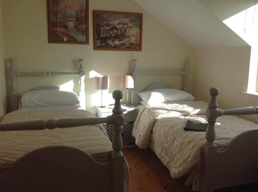 Graiguenamanagh Brandon View House B&B מראה חיצוני תמונה